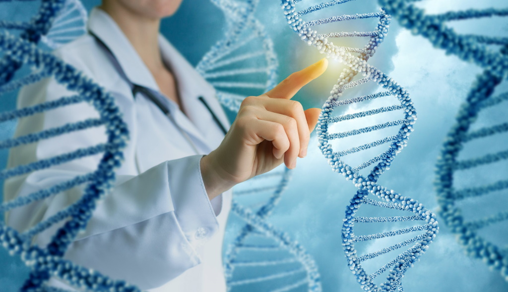 How DNA is inherited: the paternal and maternal lines